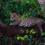 66_SA04 SPI0205_lowres__63192