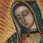 Captura de pantalla 2025-12-12 123051