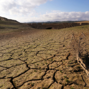 Archivo – Los restos del antiguo pueblo de Peñarubia han quedado al descubierto por la ausencia de agua en el embalse de Guadalteba a causa de la extrema sequía , a 3 de febrero de 2024 en Málaga, Andalucía, (España).